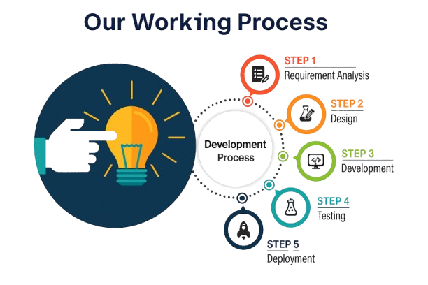 Our Working Process